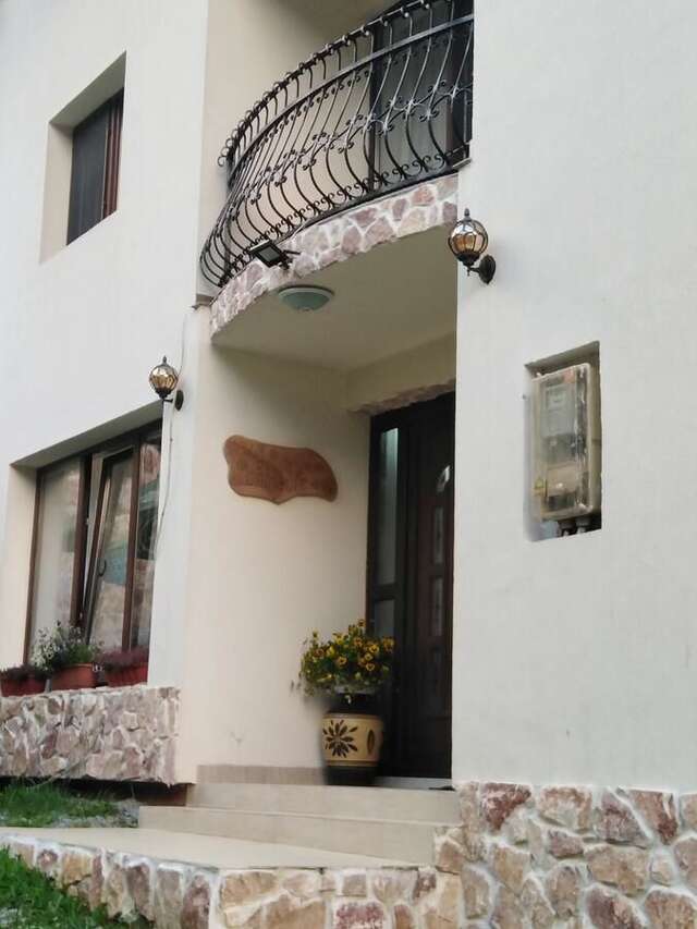 Гостевой дом Villa Delle Camelie Vadu Moţilor-9